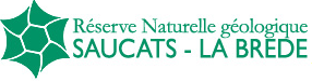 Logo_Reserve_Saucats_La_Brede