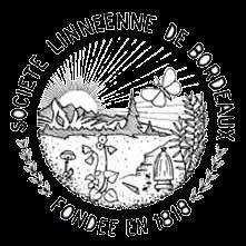 Logo Lineenne Bordeaux